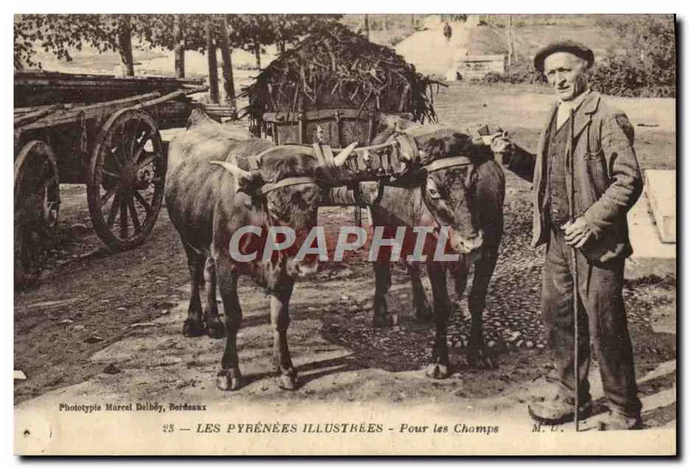 Para os Campos — Les Pyrénées Illustrées — Fototipia Marcel Delbô, Bordeaux - Frente