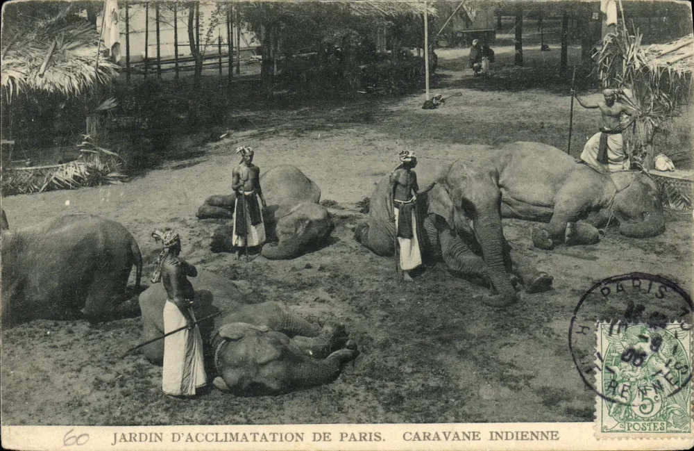 Jardin d'Acclimatation de Paris — Caravane indienne — éditeur non identifié, n° 60 - Recto