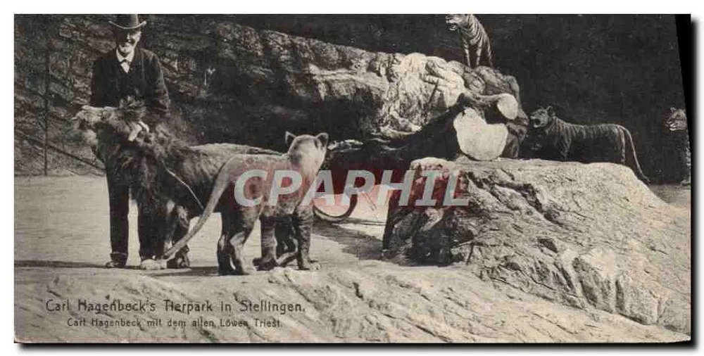 Carl Hagenbeck's Tierpark in Stellingen — Carl Hagenbeck mit allen Löwen in Triest - Vorderseite