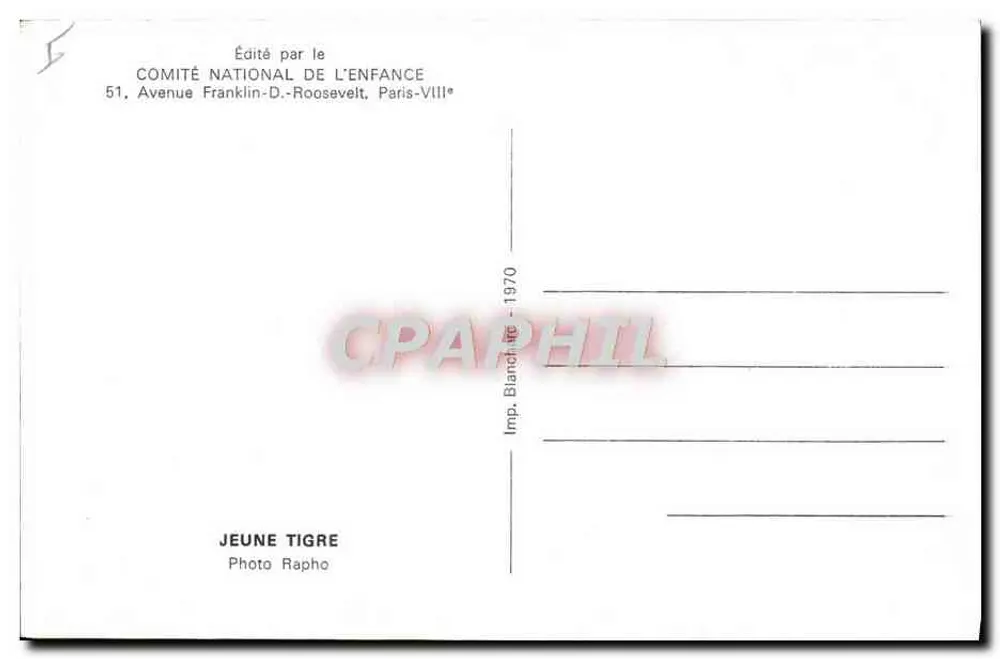 Jovem tigre — Foto Rapho — Editado pelo Comitê Nacional da Criança, Paris-VIII* - Verso