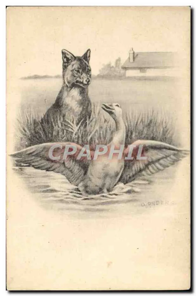 Cachorro e pato — cena campestre — O. ANDERS, série A.S. Thierfeindschaft - Frente