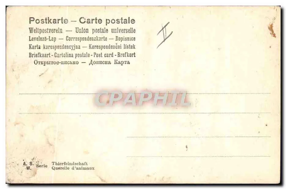 Cachorro e pato — cena campestre — O. ANDERS, série A.S. Thierfeindschaft - Verso