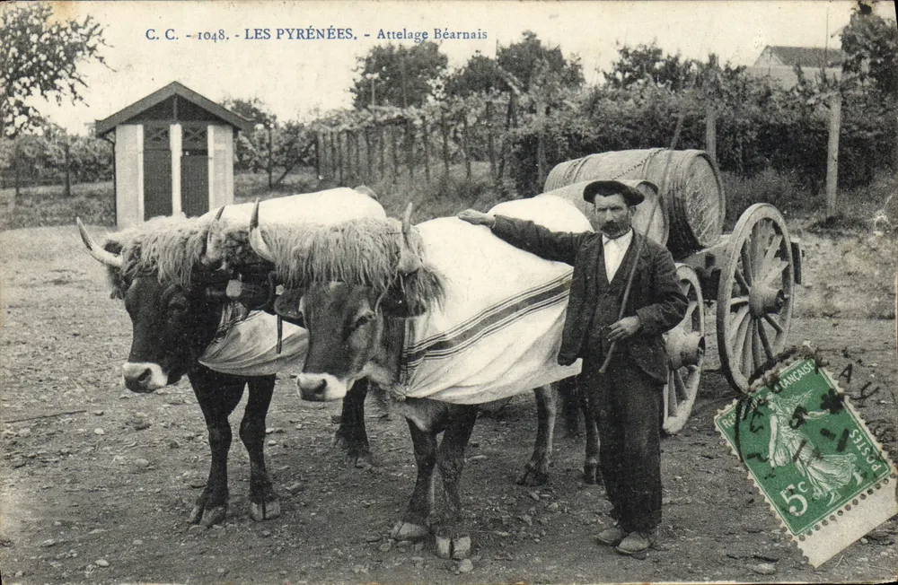 Atrelado Béarnês — Os Pirineus — C.C. n°1048 - Frente