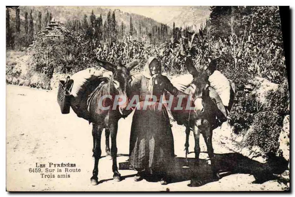 Os Pirineus — Na Estrada — Três amigos — série 6459, editor Os Pirineus - Frente