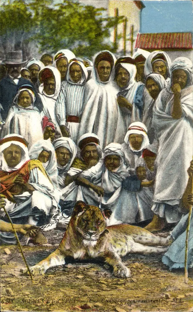 Cenas do Egito — Uma Companhia Pouco Rassurante — LL, n° 6228 - Frente