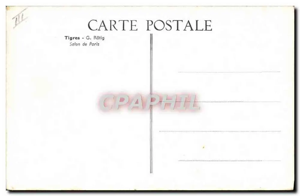 Tiger — G. Rötilg — Paris Salon - Rückseite