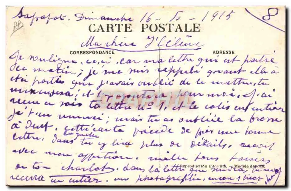 Lionna do marabout — J. Gelser, fot. — Alger, n°39 - Verso