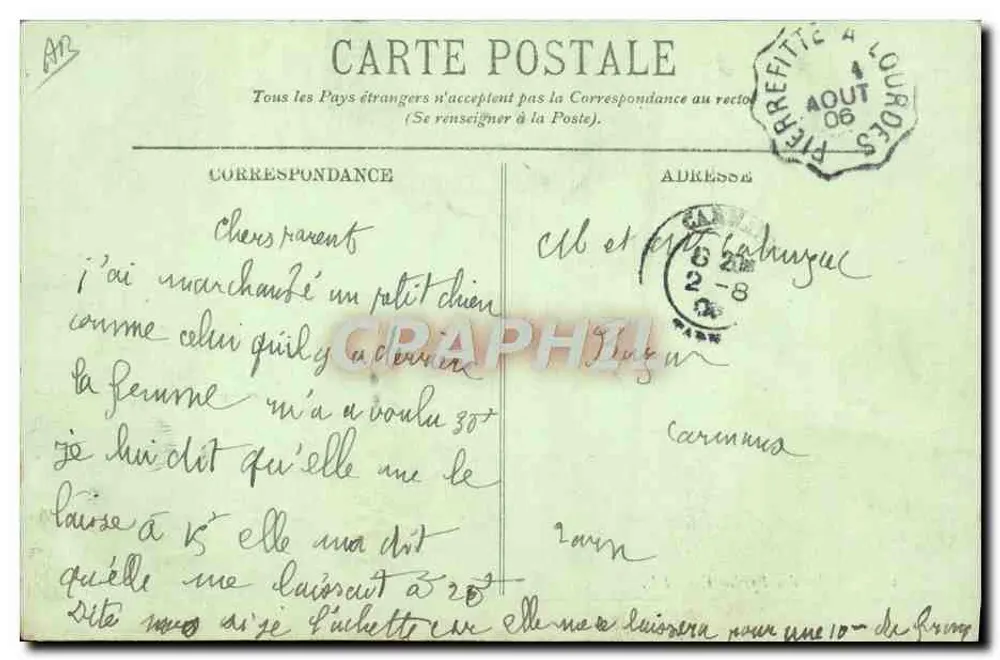 Cão dos Pirineus — LL. — n°122 - Verso