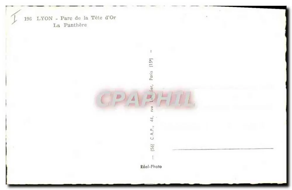 Leopard — Angola — Correios 5cts - Rückseite