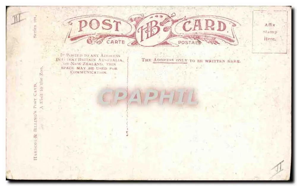 Leão em sua jaula — Zoológico — Harding & Billing's Post Card, série 11 - Verso
