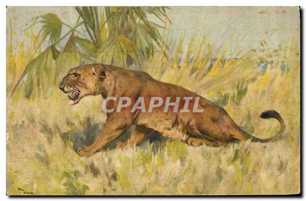Leão em pleno galope — pintura — editor STF, n° 124 - Frente