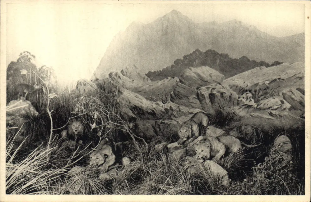 Löwen in der Savanne — bergiges Landschaft — Galeries du Duc d'Orléans, Paris - Vorderseite