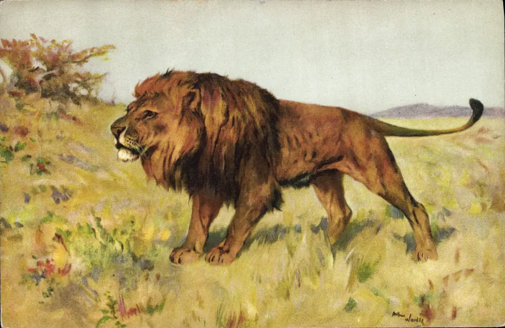Leão — pintura — Arthur Wardle, STF No. 122 - Frente
