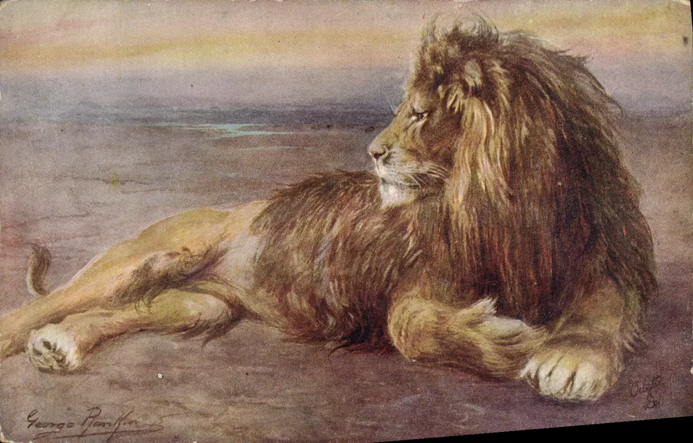 Leão — pintura de George R. R. R. — Tuck & Sons, n° 875 - Frente