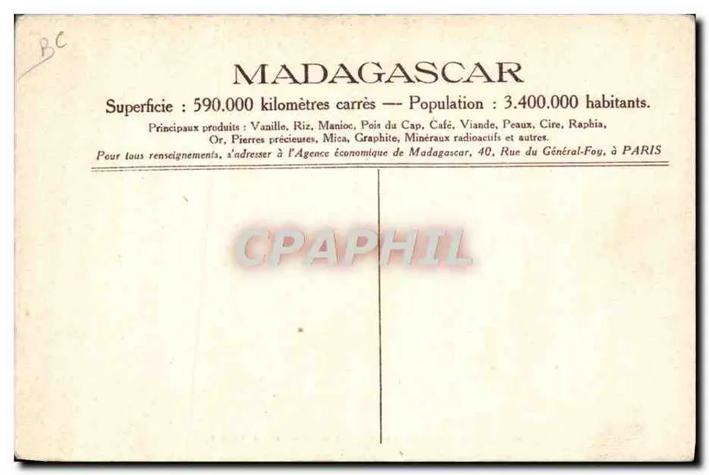 Madagaskar - Ernte der Straußenfedern in Tuléar - Rückseite