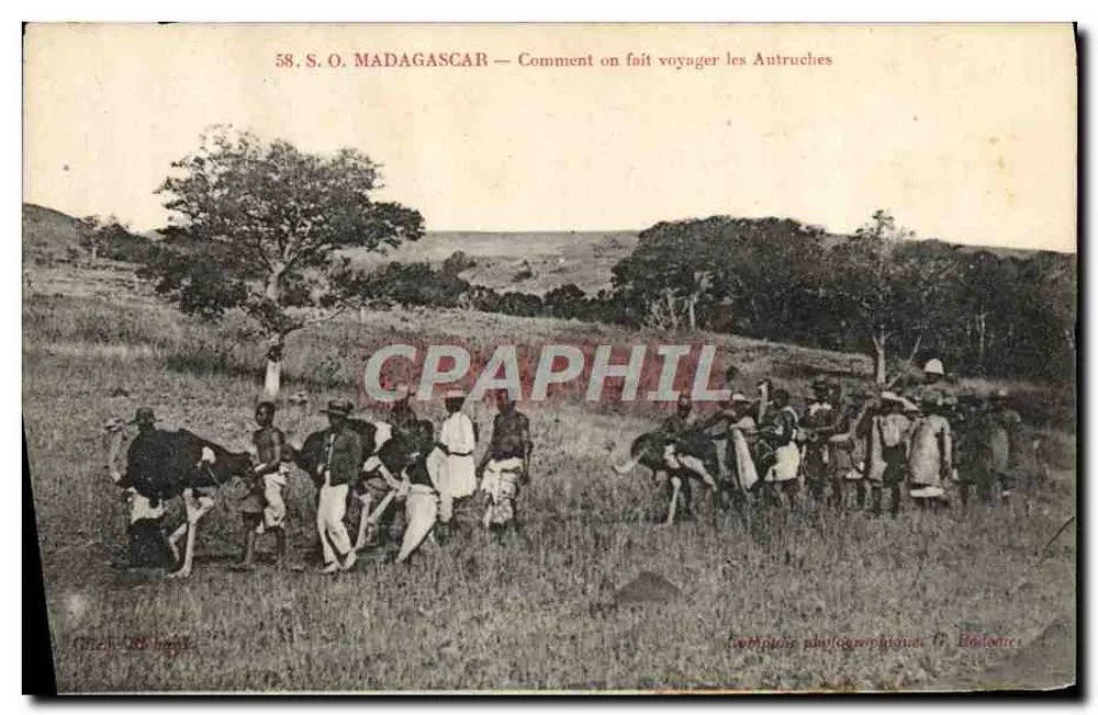 Madagaskar — Wie man mit Straußen reist — S.O. Madagaskar, Fotoverleger Boisserie - Vorderseite