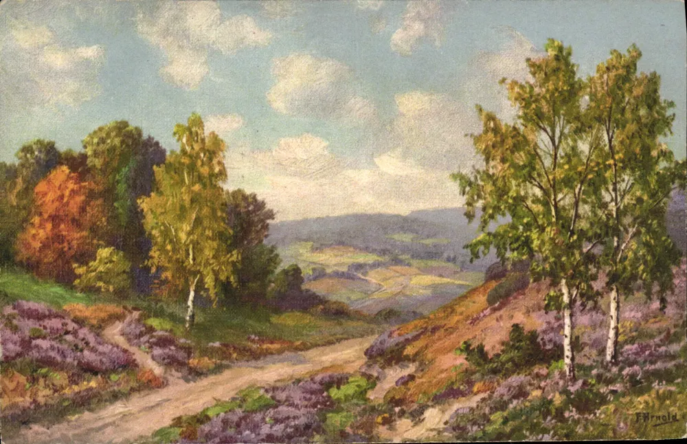 Landschaft — Weg mit Gesträuch aus Ginster und Birken — F. Arnold - Vorderseite