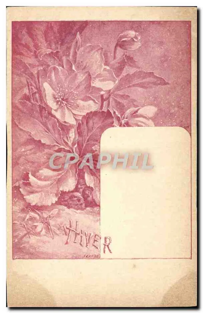 Invierno — ilustración floral en rosa — editor J. FRAISSE - Anverso