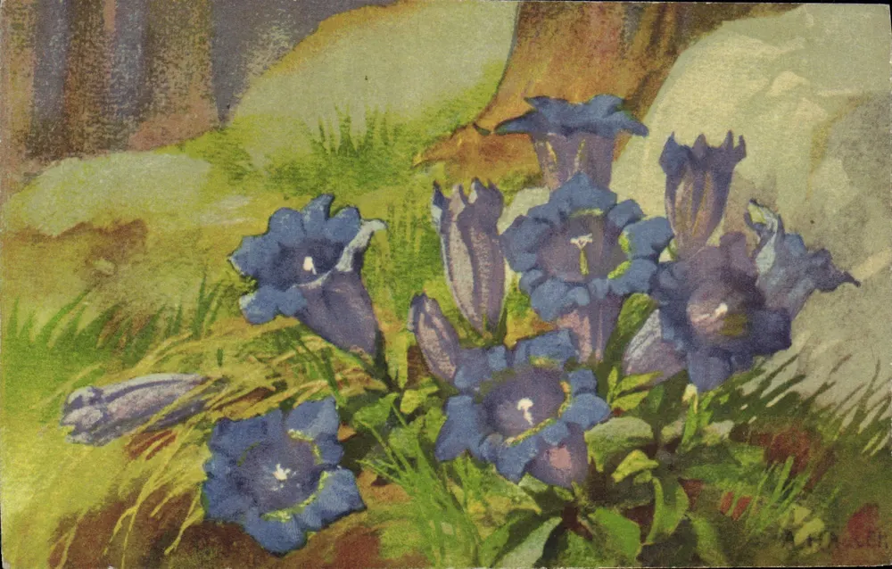 Flores azuis em um paisagem florestal — ilustração — editor não visível - Frente