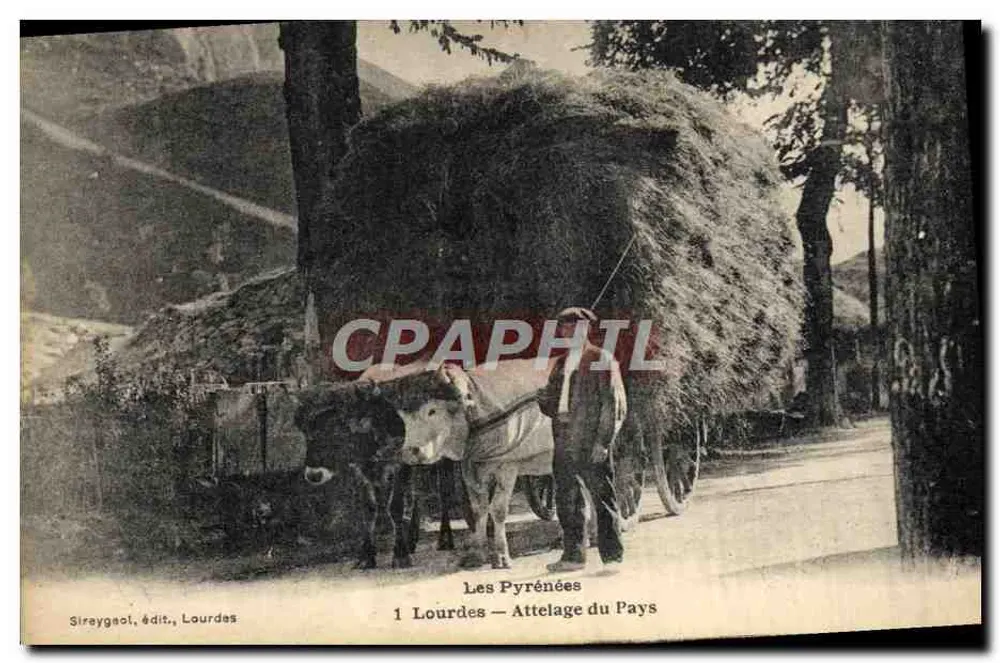 Les Pyrénées — Attelage du Pays — Sireygaol, édit., Lourdes - Frente