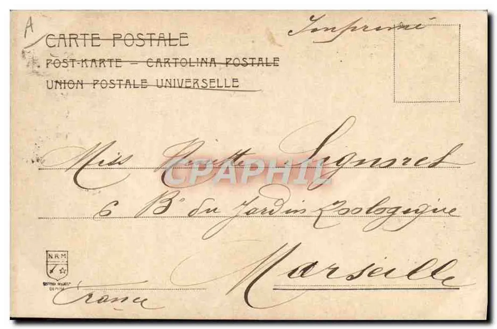 S.A.R. Emanuele Filiberto Duque de Aosta — retrato de busto — editor desconhecido, n° 3275 - Verso