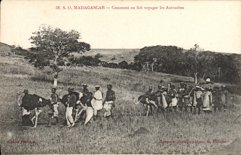 Madagaskar — Wie man Strauße transportiert — Fotostudio G. Bodemer - Vorderseite