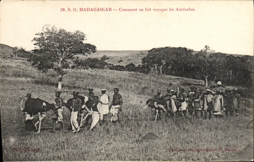 S.O. MADAGASCAR — Wie man Strauße reisen lässt — G. Bodeneer - Vorderseite