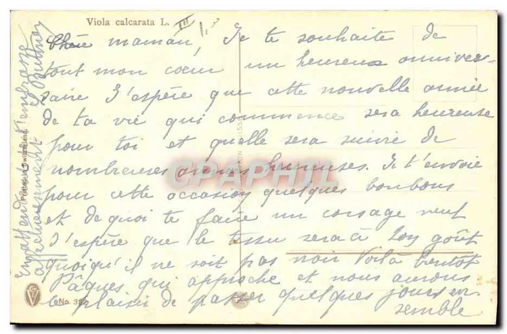 Wildblumen Violetten — A. Haller — Verlag nicht sichtbar - Rückseite