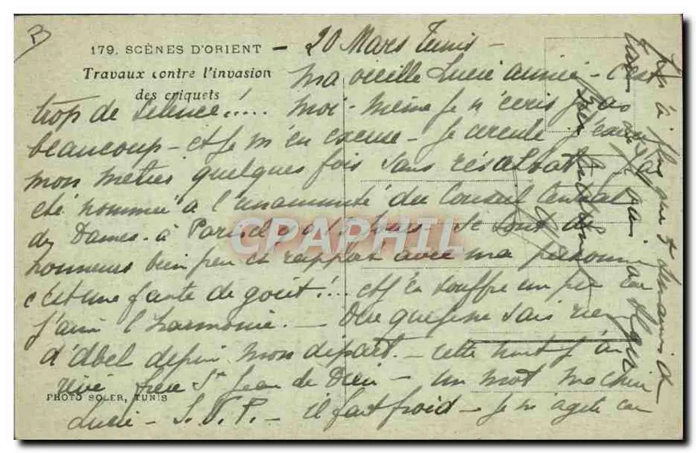 Orientalische Szenen — Arbeit gegen Ameisenbäreninvasion — 10. März Tunis - Rückseite
