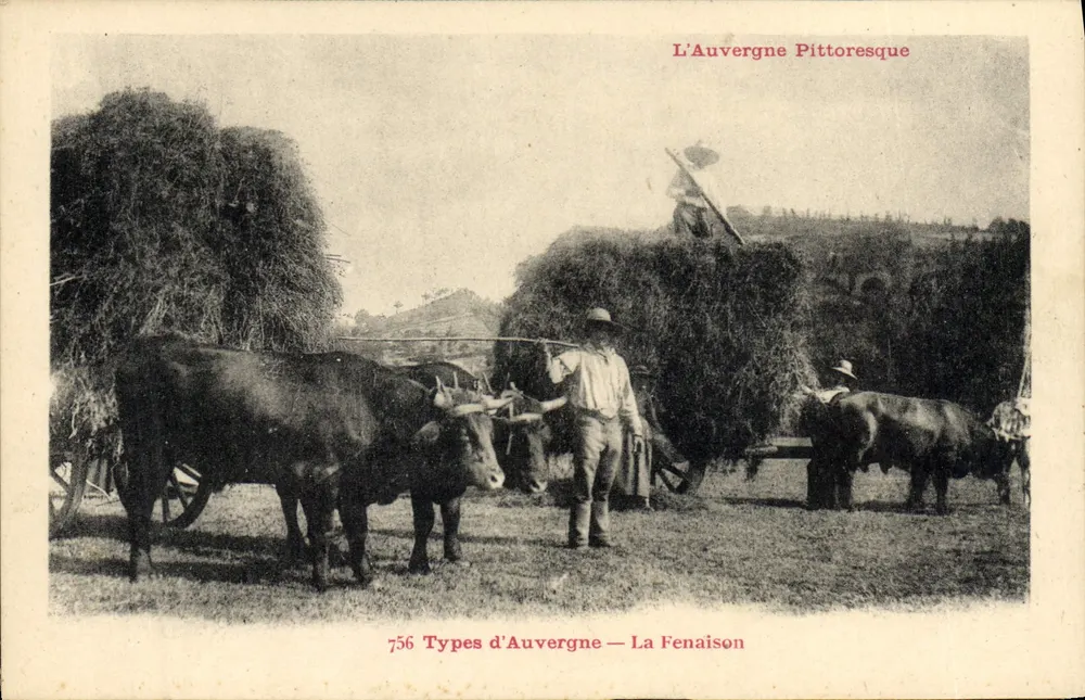 A Fenaison — Tipos da Auvergne — 756 — P. e A. Naltroux-Aurillac - Frente