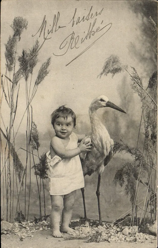 Kind mit einer Storch — Rosenkranz-Dekoration — Verlag P.F.B. Nr. 2947 - Vorderseite