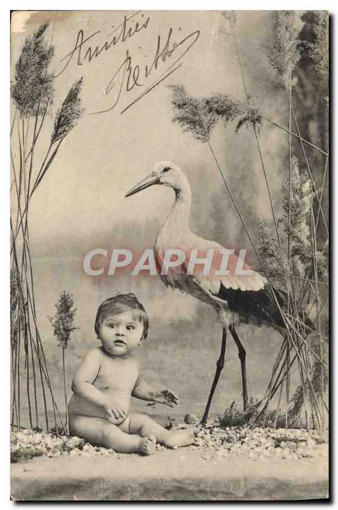 Bébé et cigogne — scène de studio avec roseaux — éditeur P. F. B. série 2947 - Vorderseite