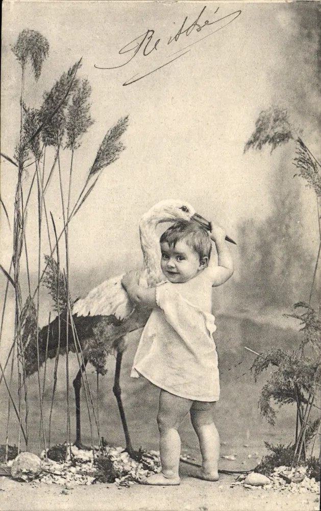 Kind mit einer Kraniche — Studio-Szene — Verlag F. F. B., Serie 2647 - Vorderseite