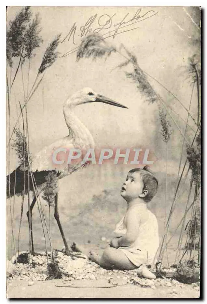 Kind und Kranich — Studio-Szene — P. F., B. Serie 2847 - Vorderseite