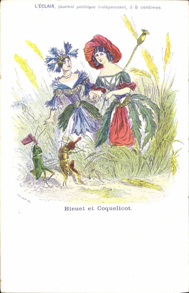 Blaukraut und Mohnblume — politische Karikatur — L'ÉCLAIR, unabhängige politische Zeitung, 5 Centimes - Vorderseite