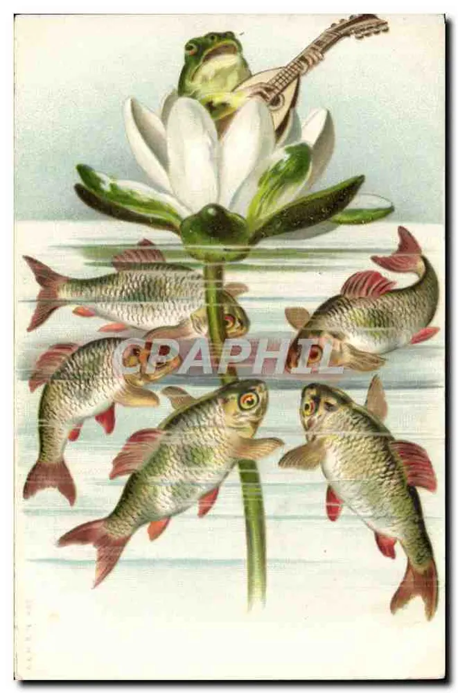 Sapo com mandolina sobre lótus — cercado por peixes — cartão postal russo - Frente