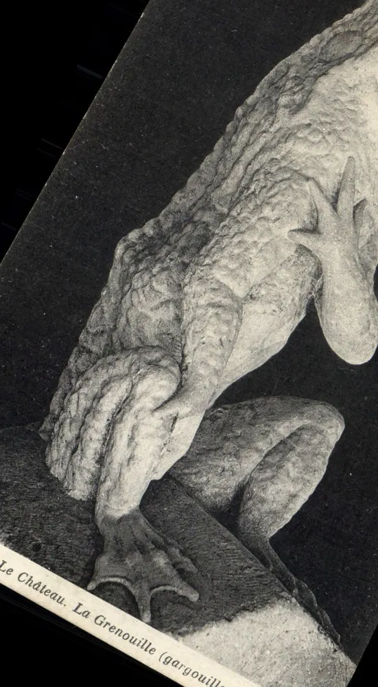 Het Kasteel. De Kikker (gargoyle) — beeldhouwwerk — uitgever niet zichtbaar - Voorkant