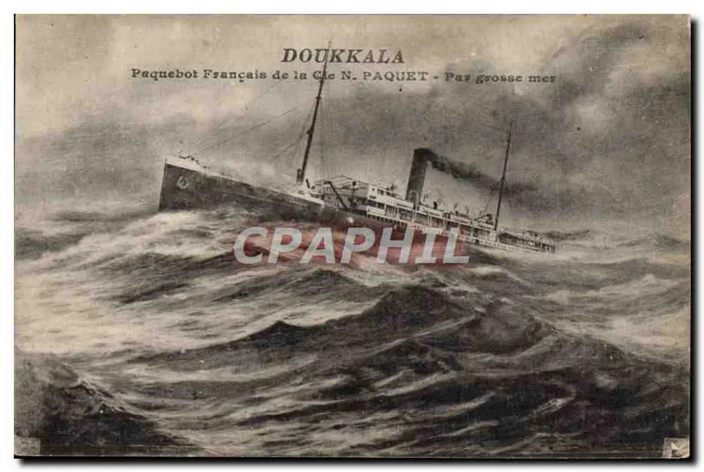 Doukkala — französischer Dampfer der Compagnie N. Paquet — auf hoher See - Vorderseite
