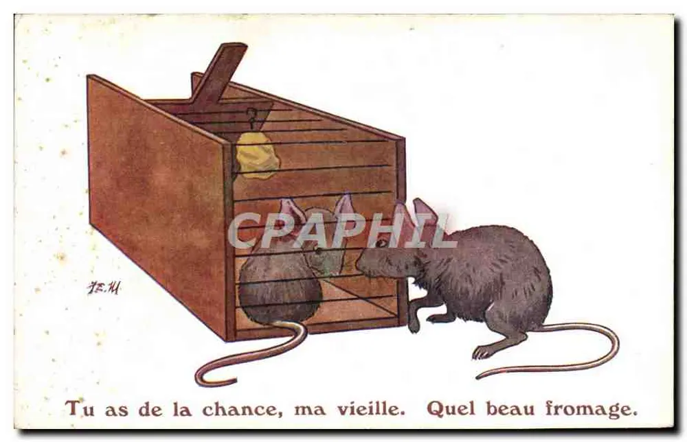 Duas cobras diante de uma caixa de queijo — desenho de J.T. M. — editor J. Baldwin, Grã-Bretanha - Frente