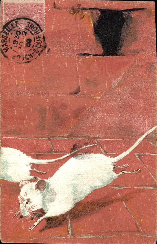 Dois ratos brancos em um muro vermelho – editor K.F. Editores, Paris – n° 010 - Frente