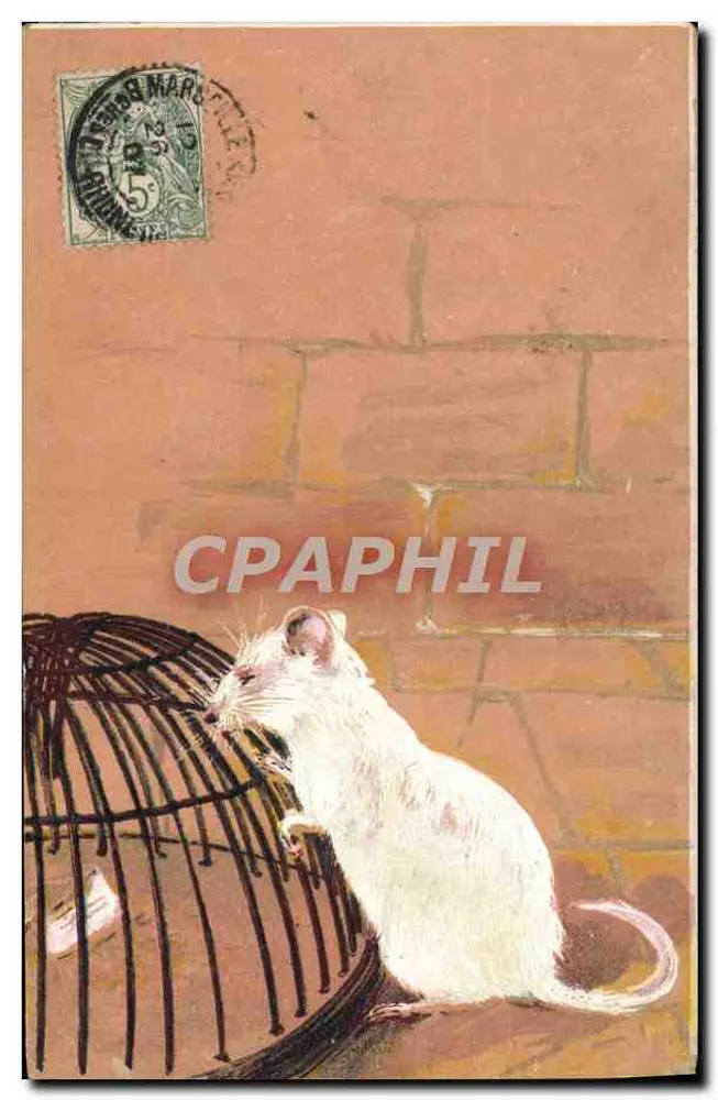 Rato branco diante de uma gaiola — ilustração — editor não visível - Frente