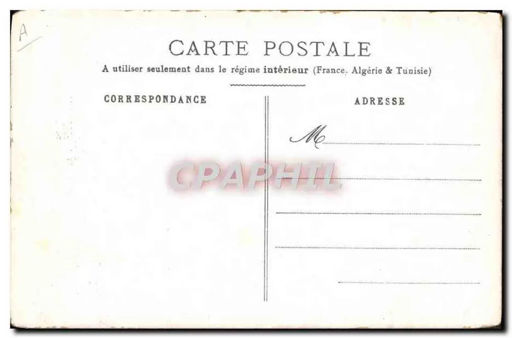 Dois ratos brancos — cena interior — carta postal interior França-Argélia-Tunísia - Verso