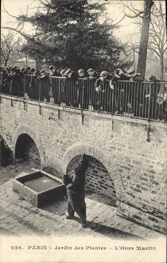 Paris - Jardin des Plantes - Der Martin-Bär - Vorderseite