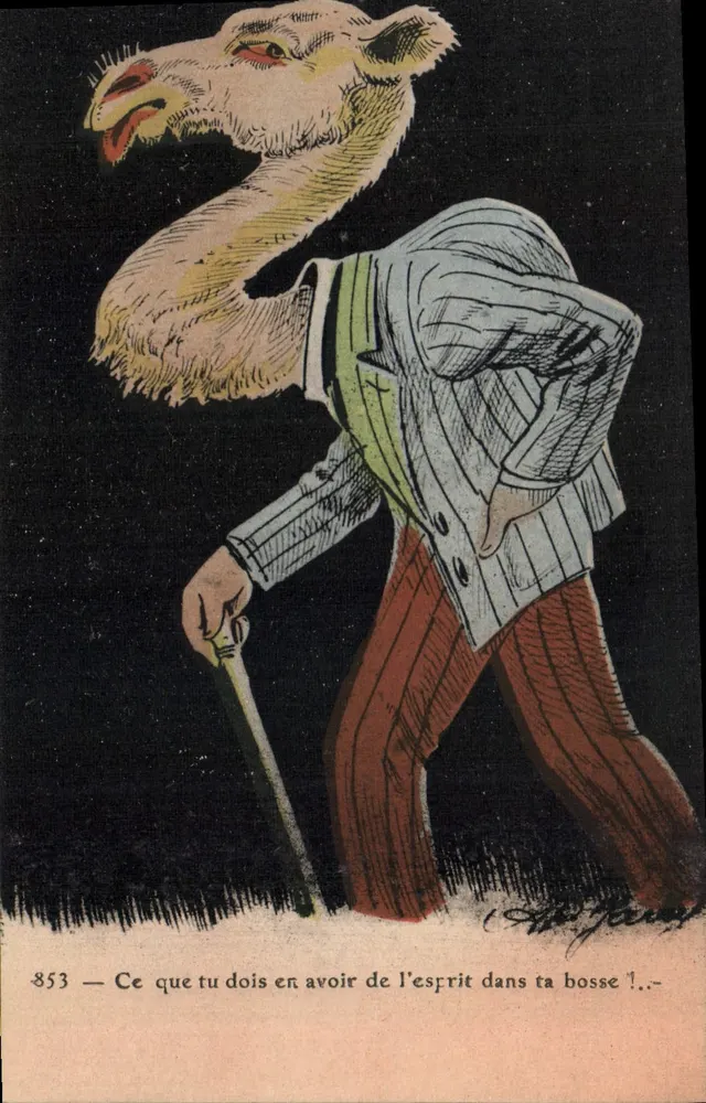 Camelot — Karikatur eines Mannes mit Kameelkopf — Serie 853 — Alphonse Faucon - Vorderseite