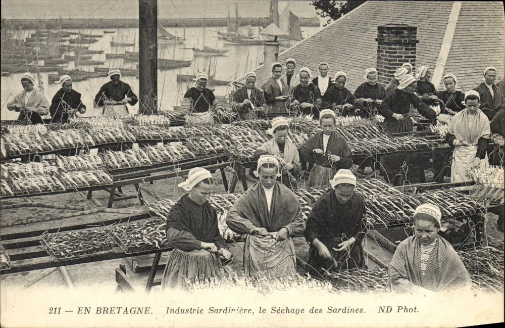 In der Bretagne — Sardinenindustrie, das Trocknen der Sardinen — ND Fotografie - Vorderseite
