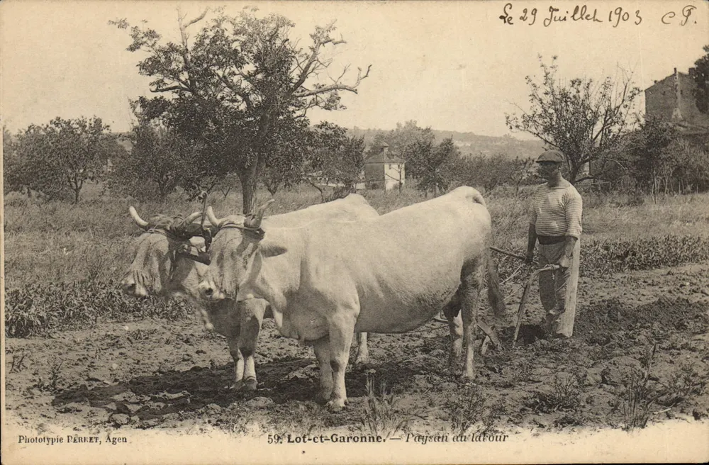 Lot-et-Garonne — Bauer beim Pflügen — Phototypie PÉRRET, Agen, n°59 - Vorderseite