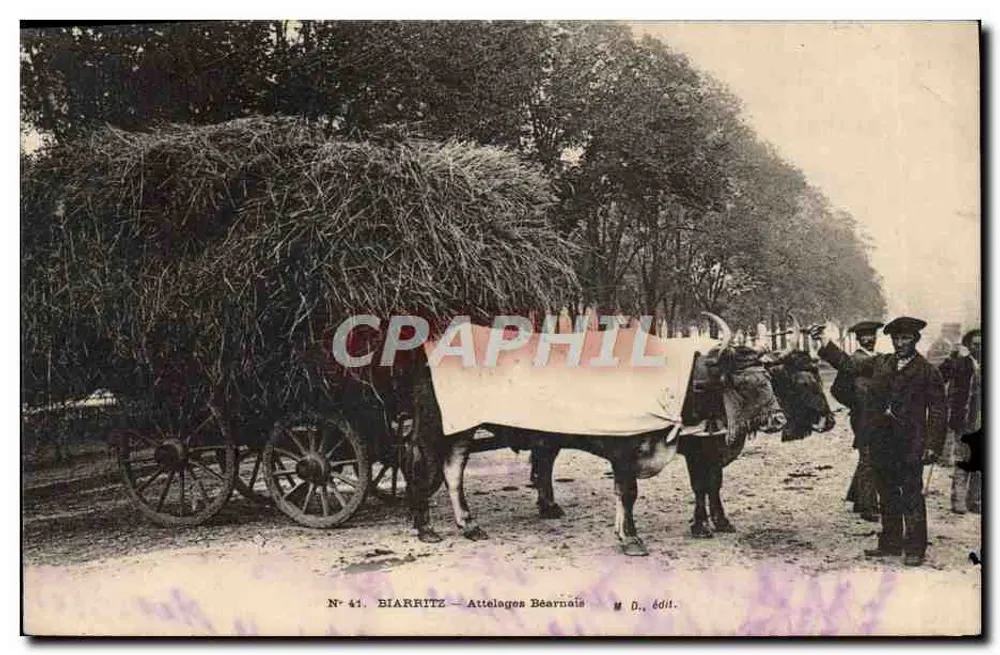 Biarritz — Attelages Béarnais — M. D., édit. - Frente