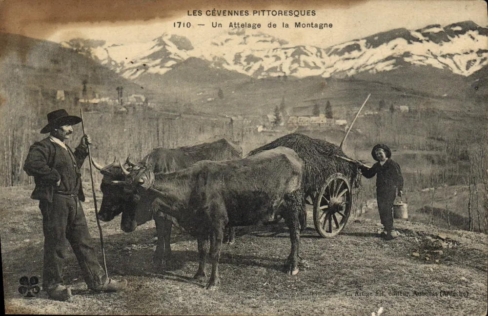 Les Cévennes Pittoresques — Um Attelage de la Montagne — C. Artige fils, editor, Auvillar (Aude) - Frente