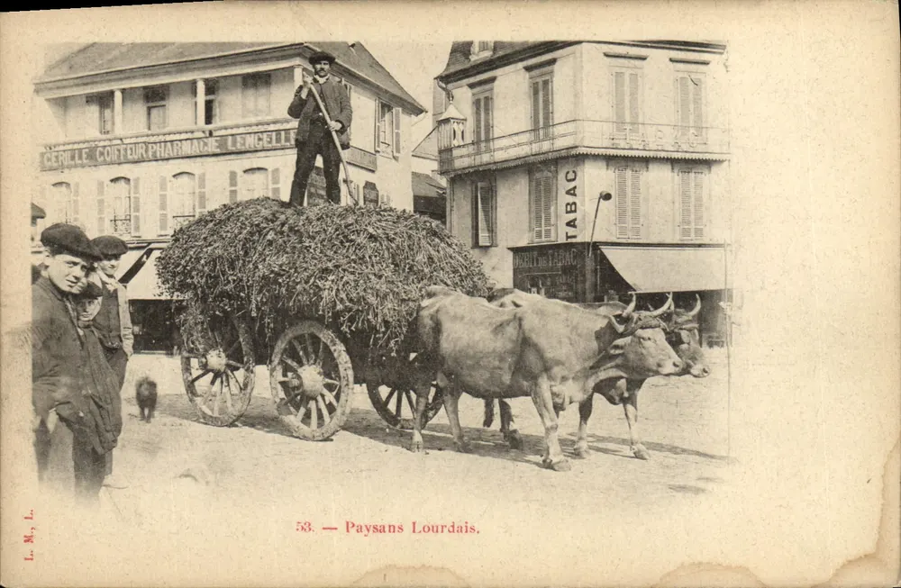 Paysanos Lourdaïs — cena de rua com carruagem puxada por bois — L. M., L. (editor) - Frente