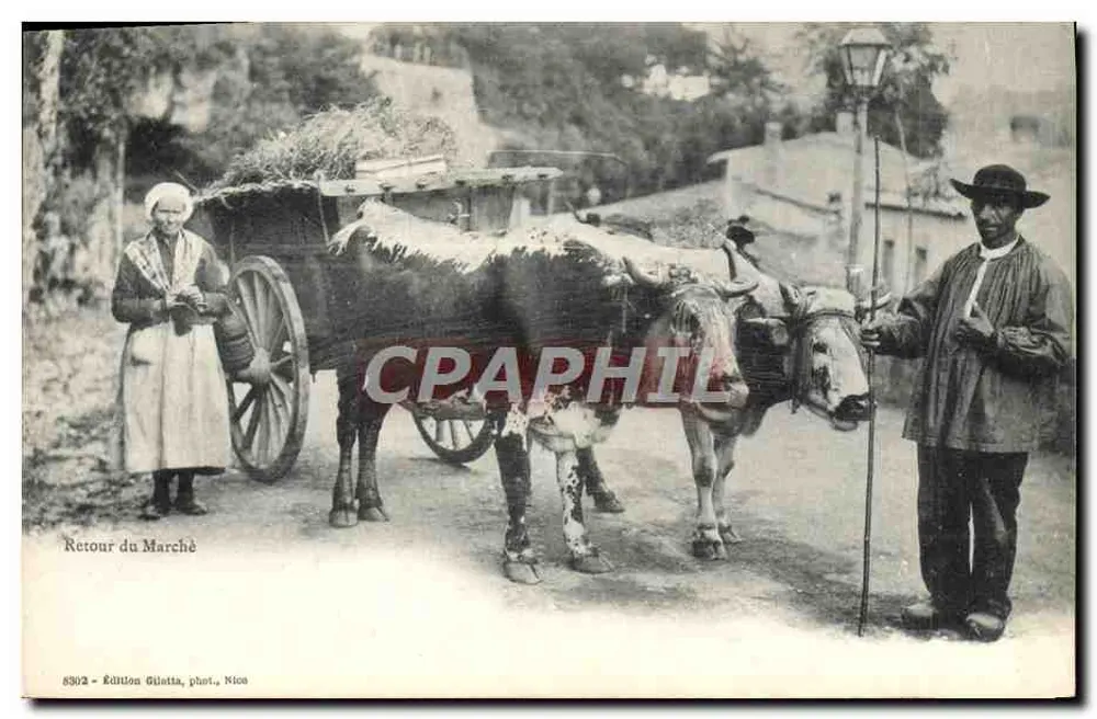 Retour du Marché — scène de village avec char à boeufs — Édition Gilletta, phot. Nica - Frente